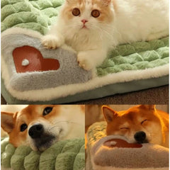 Cama ortopédica para mascotas verde