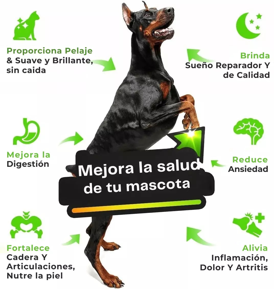 Aceite de omega Pet Hemp para mascotas: perros y gatos