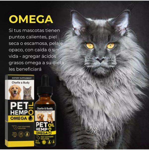 Aceite de omega Pet Hemp para mascotas: perros y gatos
