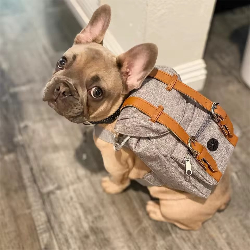 Mochila morral explorador perro