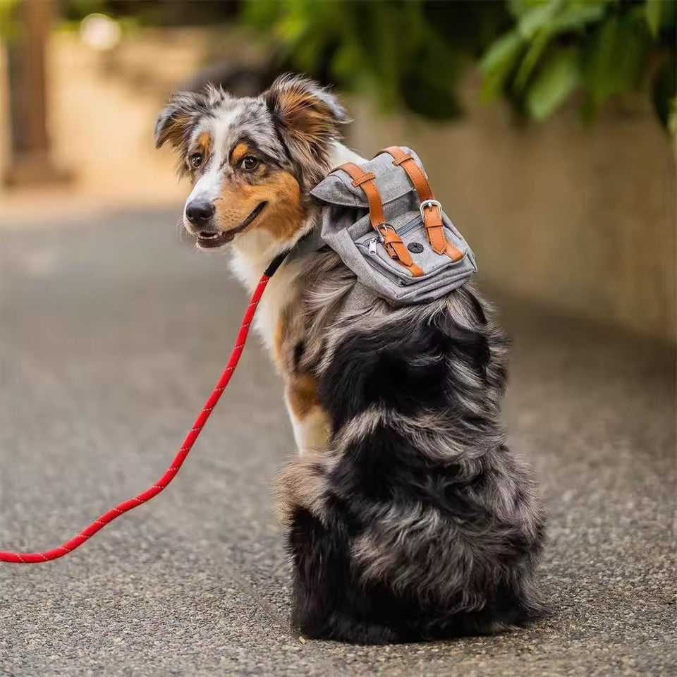 Mochila morral explorador perro
