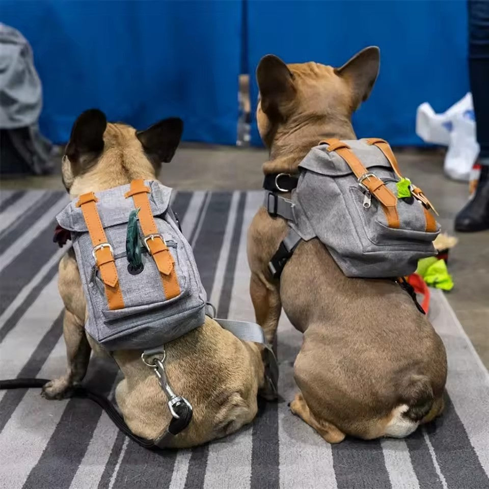 Mochila morral explorador perro