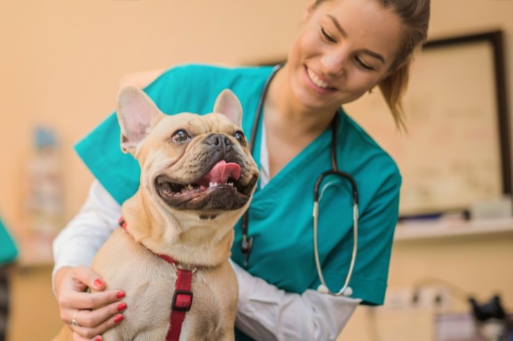 Únete como independiente