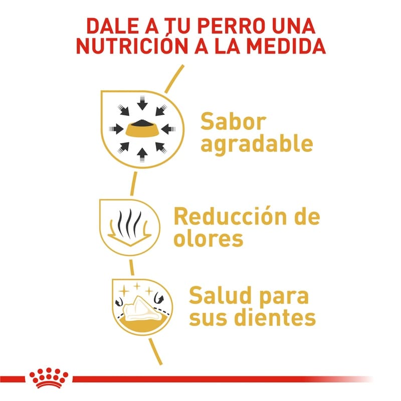 Royal Canin Chihuahua Adult 3 Empaque Royal Canin Chihuahua Adult de 1.14 kg