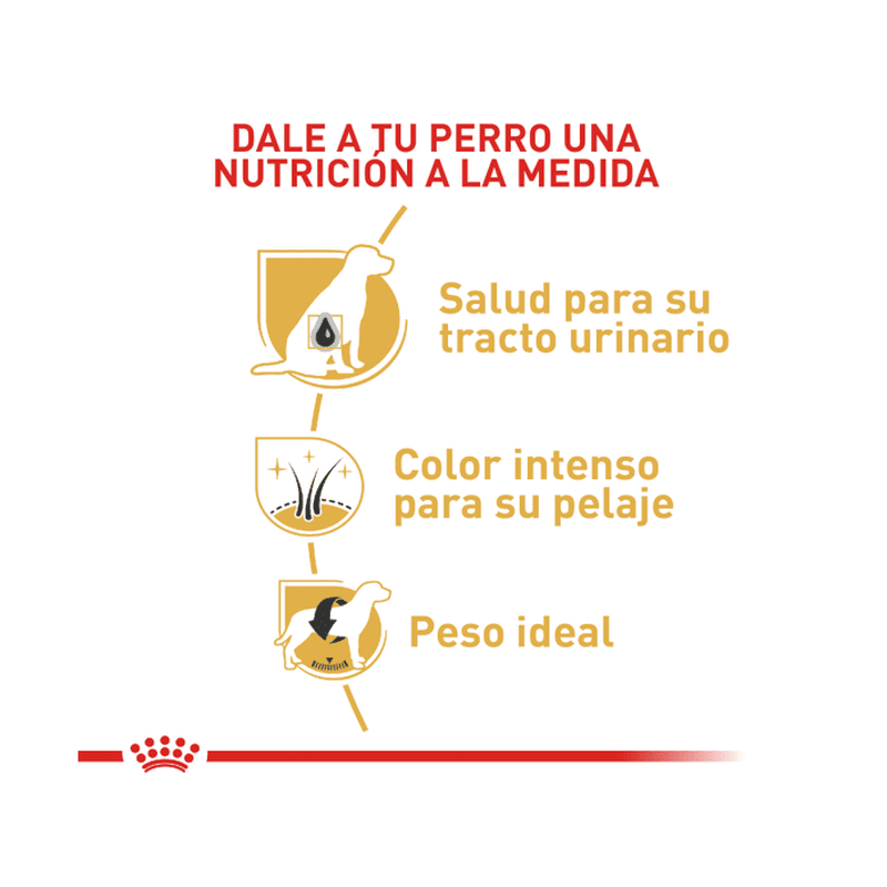 Royal Canin Schnauzer Miniatura Adulto 4.5 kg 3 Empaque Royal Canin Schnauzer Miniatura Adulto 4.5 kg de 4.5 kg