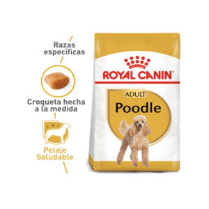 Alimento Royal Canin Poodle Adulto 1.5 kg para perros