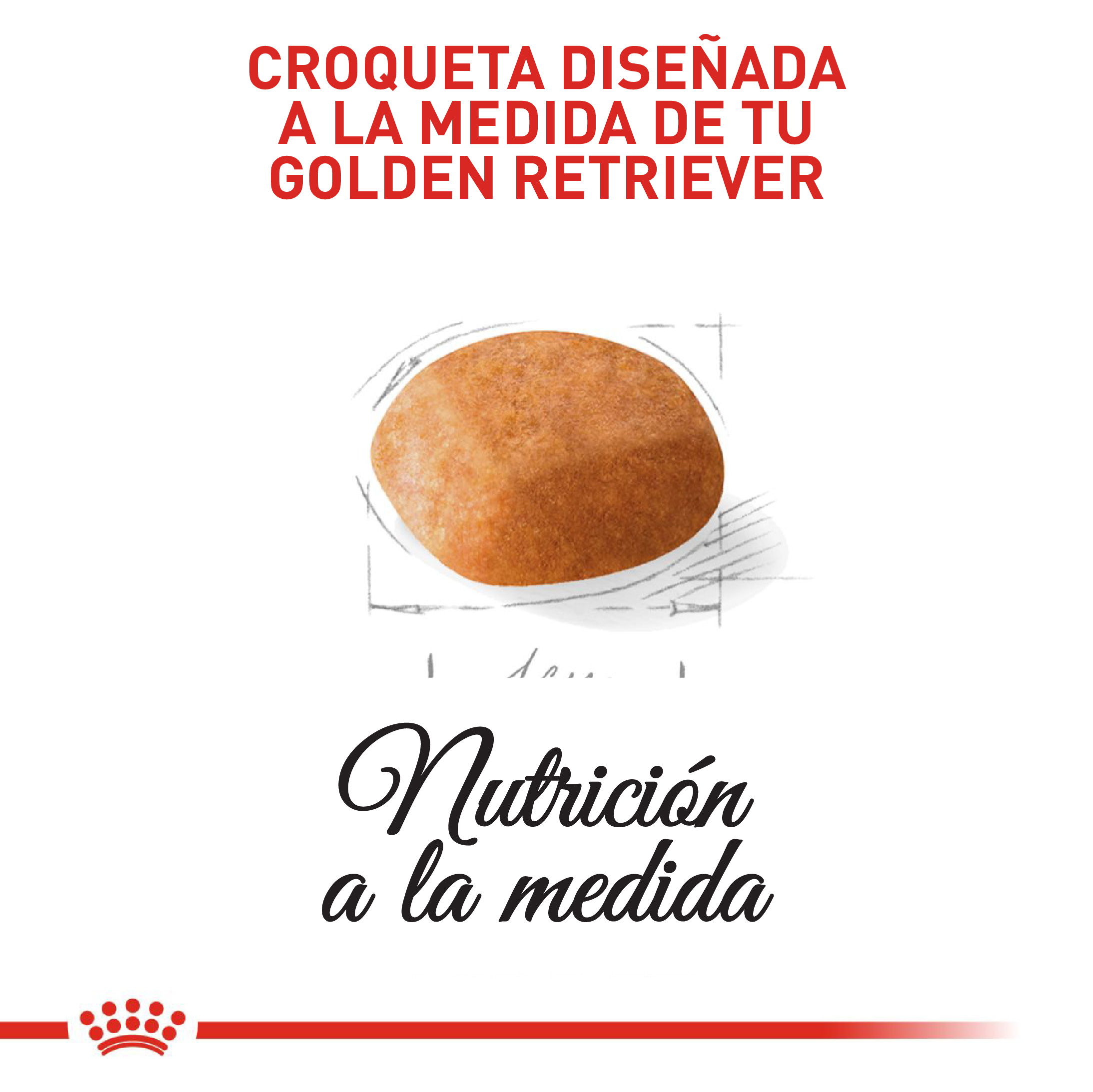 Royal Canin Golden Retriever Puppy 12 kg 4 Empaque Royal Canin Golden Retriever Puppy 12 kg de 12 kg