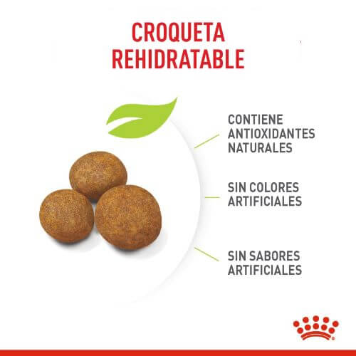 Royal Canin Giant Puppy 15 kg 2 Empaque Royal Canin Giant Puppy 15 kg de 15 kg