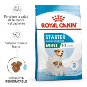 Alimento Royal Canin Mini Starter Mother & Babydog 1 kg para perros