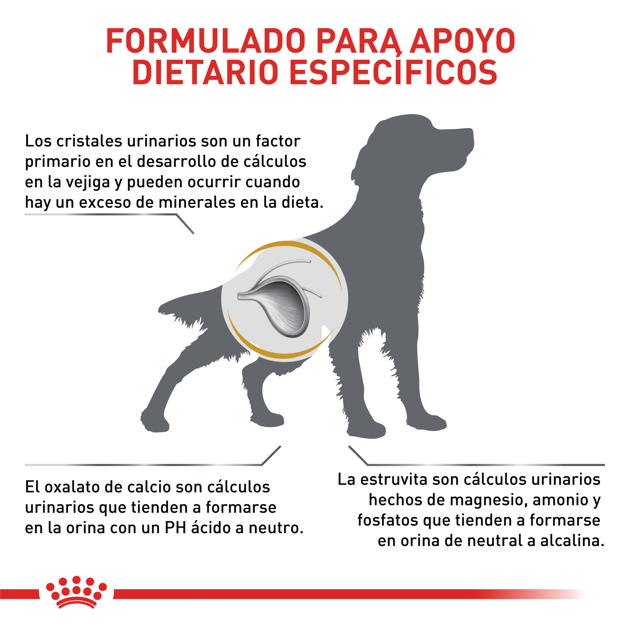 Royal Canin VHN Urinary S/O 3 Empaque Royal Canin VHN Urinary S/O de 3 kg