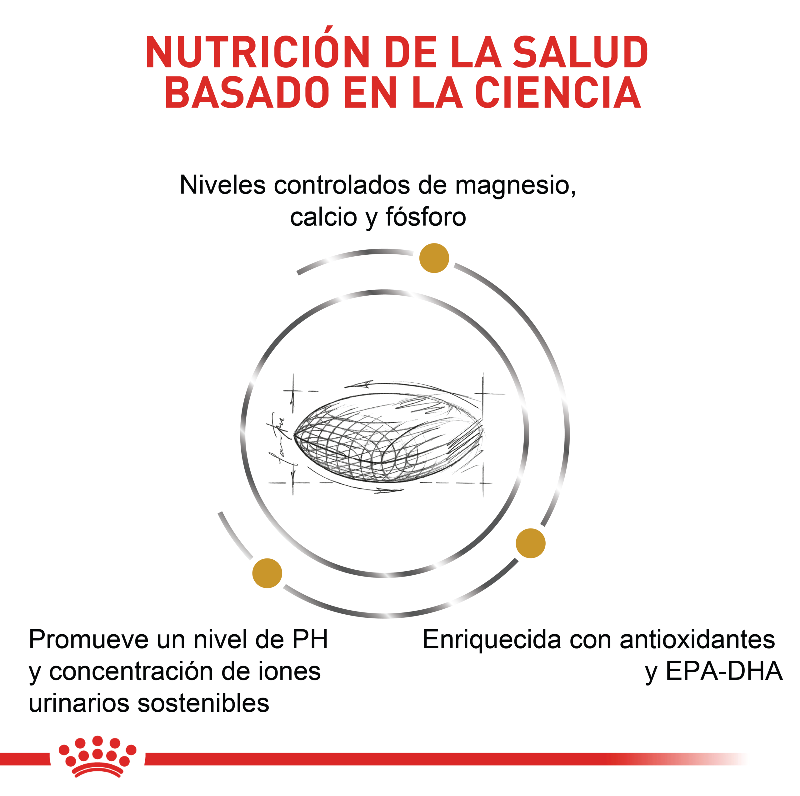 Royal Canin VHN Urinary S/O 4 Empaque Royal Canin VHN Urinary S/O de 3 kg