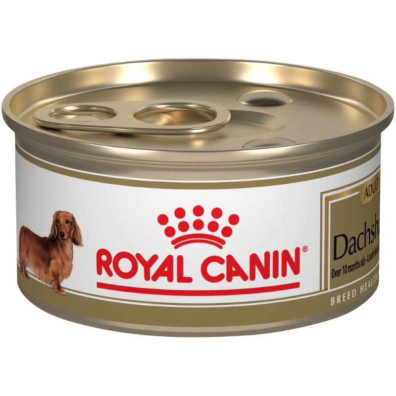 Royal Canin Teckel / Dachshund Pouch 85 g 1 Alimento Royal Canin Teckel / Dachshund Pouch 85 g para perros