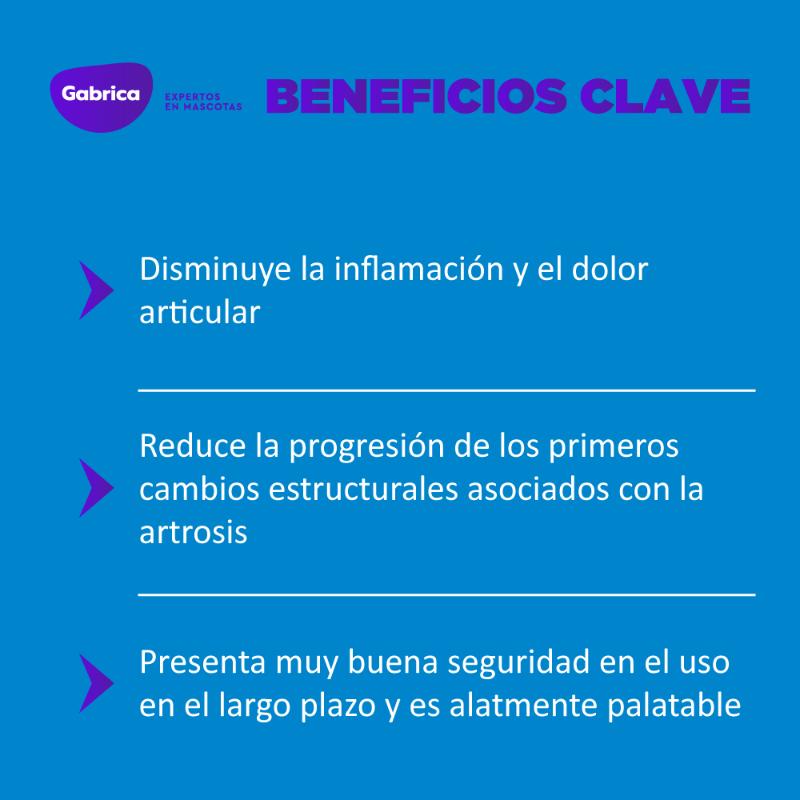 Rimadyl 75 mg Carprofeno Antiinflamatorio (Frasco x 60 Tabletas) 2 Empaque Rimadyl 75 mg Carprofeno Antiinflamatorio (Frasco x 60 Tabletas) de 60 tabletas