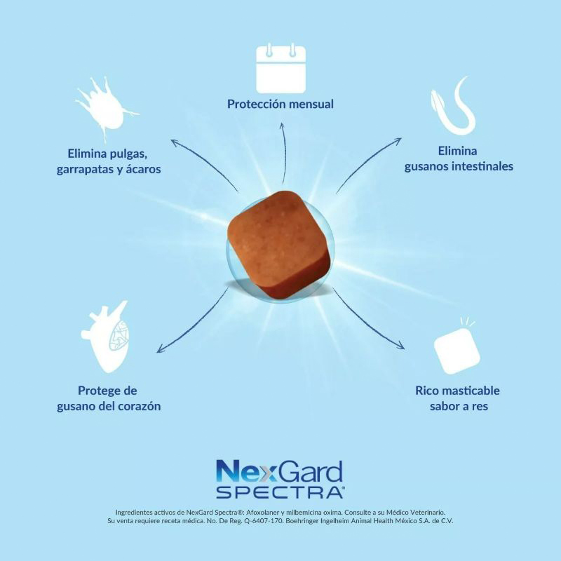 NexGard Spectra Antipulgas para Perros de 2 a 3.5 kg 3 Empaque NexGard Spectra Antipulgas para Perros de 2 a 3.5 kg de 2 - 3.5 kg