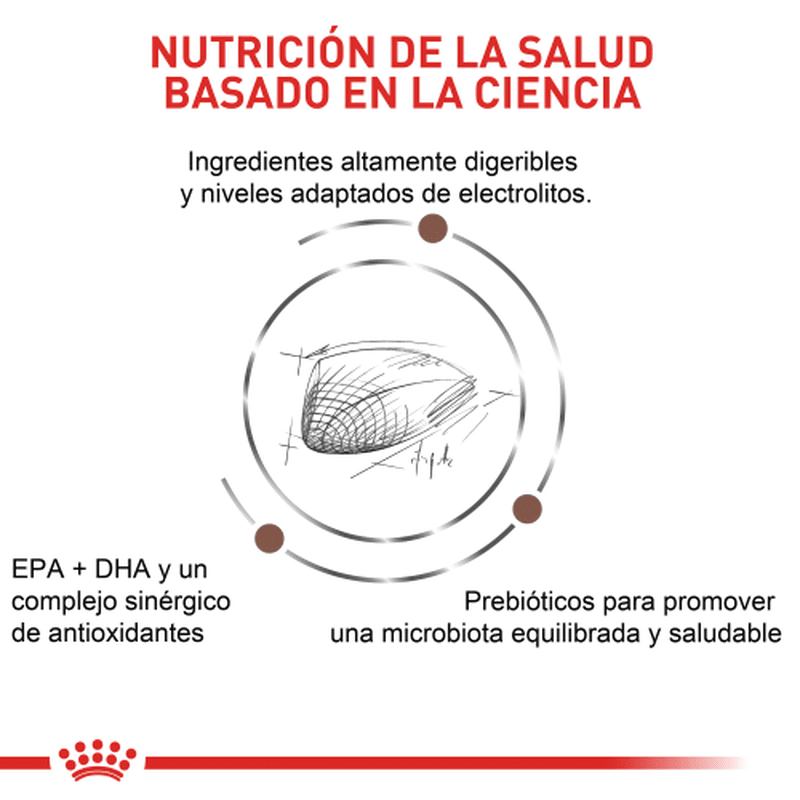Royal Canin VHN Gastrointestinal Feline 4 Empaque Royal Canin VHN Gastrointestinal Feline de 2 kg