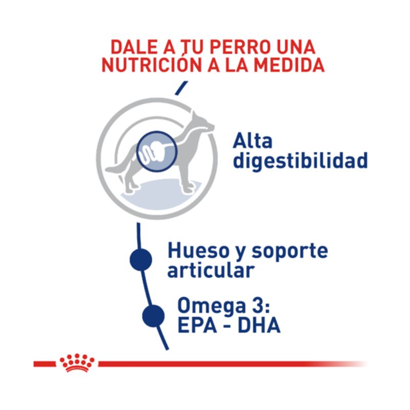Royal Canin Maxi Adult 2 Empaque Royal Canin Maxi Adult de 15 kg
