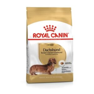 Alimento Royal Canin Dachshund Adult para perros