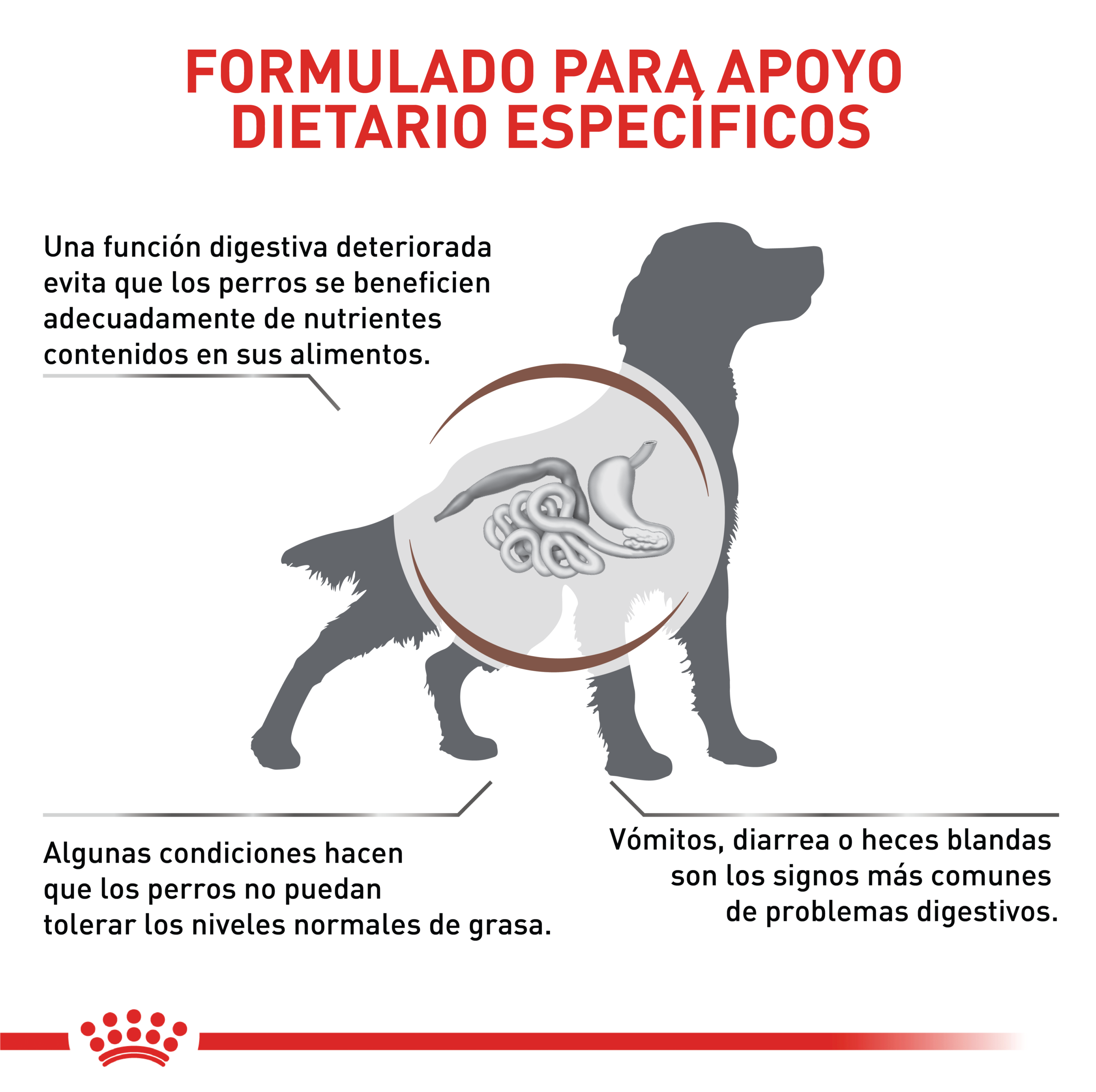 Royal Canin VHN Gastrointestinal Low Fat 3 Empaque Royal Canin VHN Gastrointestinal Low Fat de 3 kg