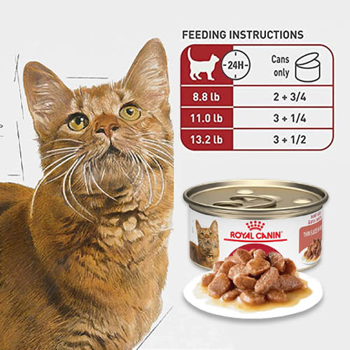 Royal Canin Adult Instinctive Salsa 2 Empaque Royal Canin Adult Instinctive Salsa de 85 g