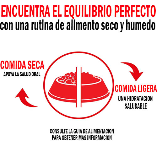 Royal Canin Adult Instinctive Salsa 4 Empaque Royal Canin Adult Instinctive Salsa de 85 g