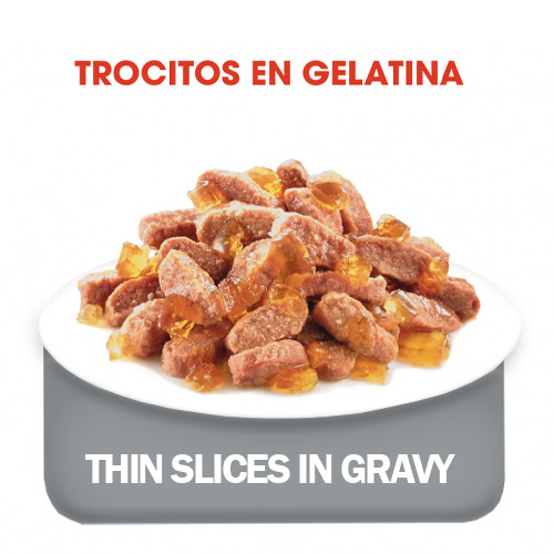 Royal Canin Kitten Instinctive Salsa 3 Empaque Royal Canin Kitten Instinctive Salsa de 85 g