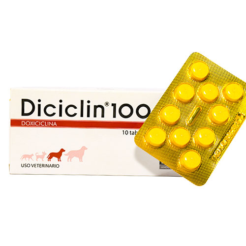 Diciclin 100 mg Doxiciclina Antibacteriano (Caja x 10 Tabletas) 4 Empaque Diciclin 100 mg Doxiciclina Antibacteriano (Caja x 10 Tabletas) de 10 tabletas