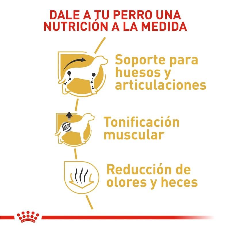 Royal Canin Dachshund Adult 3 Empaque Royal Canin Dachshund Adult de 1.5 kg
