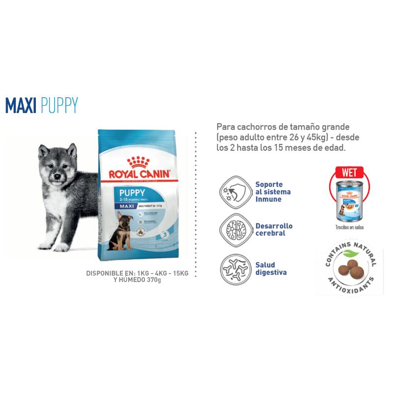 Royal Canin Size Health Nutrition Large Puppy Lata 370 g 3 Empaque Royal Canin Size Health Nutrition Large Puppy Lata 370 g de 370 g