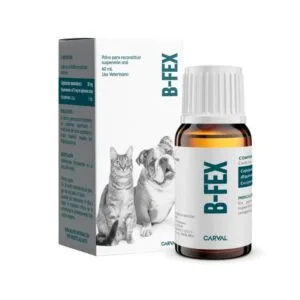 B-Fex Cefalexina Antibiótico Suspensión (60 ml) para perros
