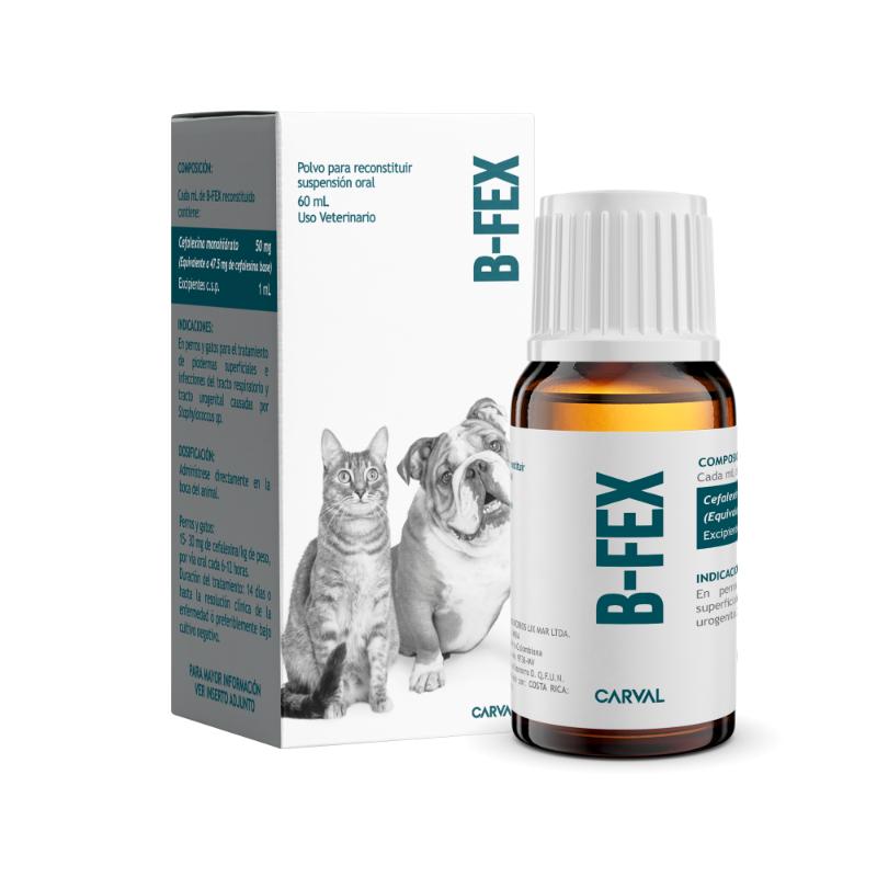 B-Fex Cefalexina Antibiótico Suspensión (60 ml) 1 B-Fex Cefalexina Antibiótico Suspensión (60 ml) para perros