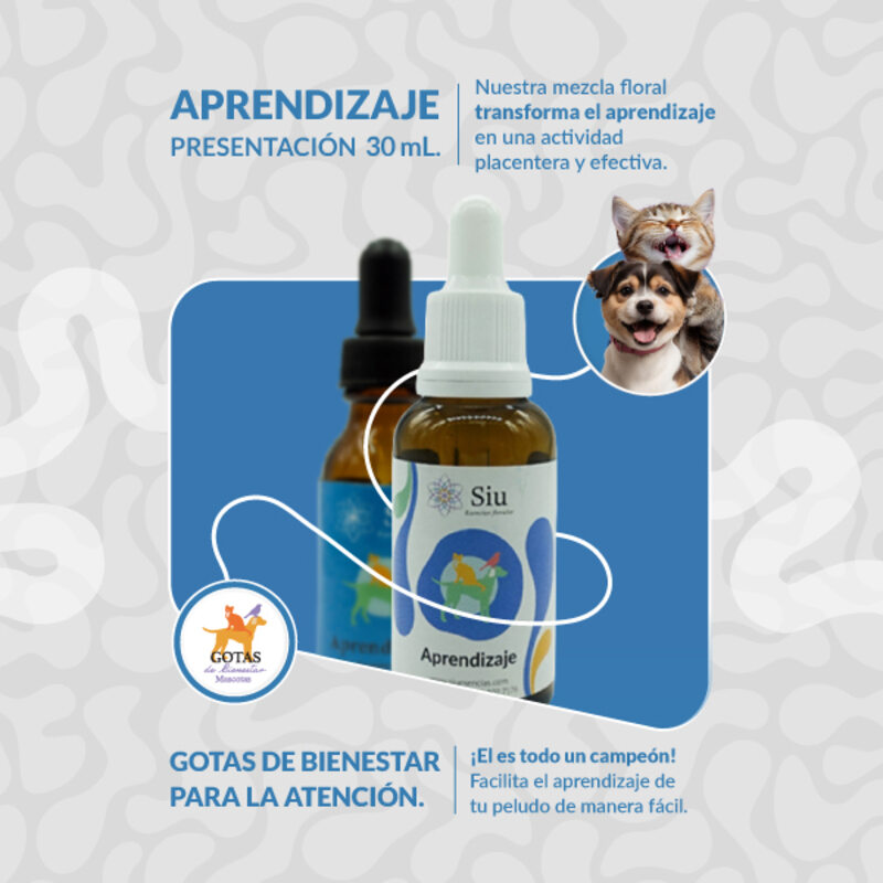 Siu Esencia Floral Aprendizaje y Conducta (Gotero 20 ml) 2 Empaque Siu Esencia Floral Aprendizaje y Conducta (Gotero 20 ml) de 20 ml mililitro