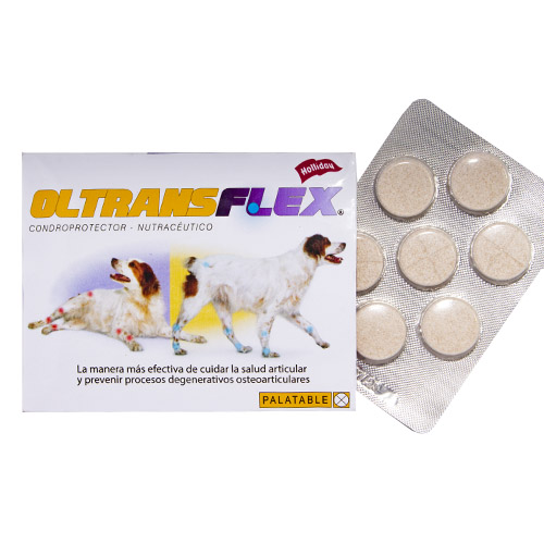 Holliday Ol-Trans Flex Condroprotector Articular (Blíster x 7 Comprimidos) 1 Holliday Ol-Trans Flex Condroprotector Articular (Blíster x 7 Comprimidos) para perros