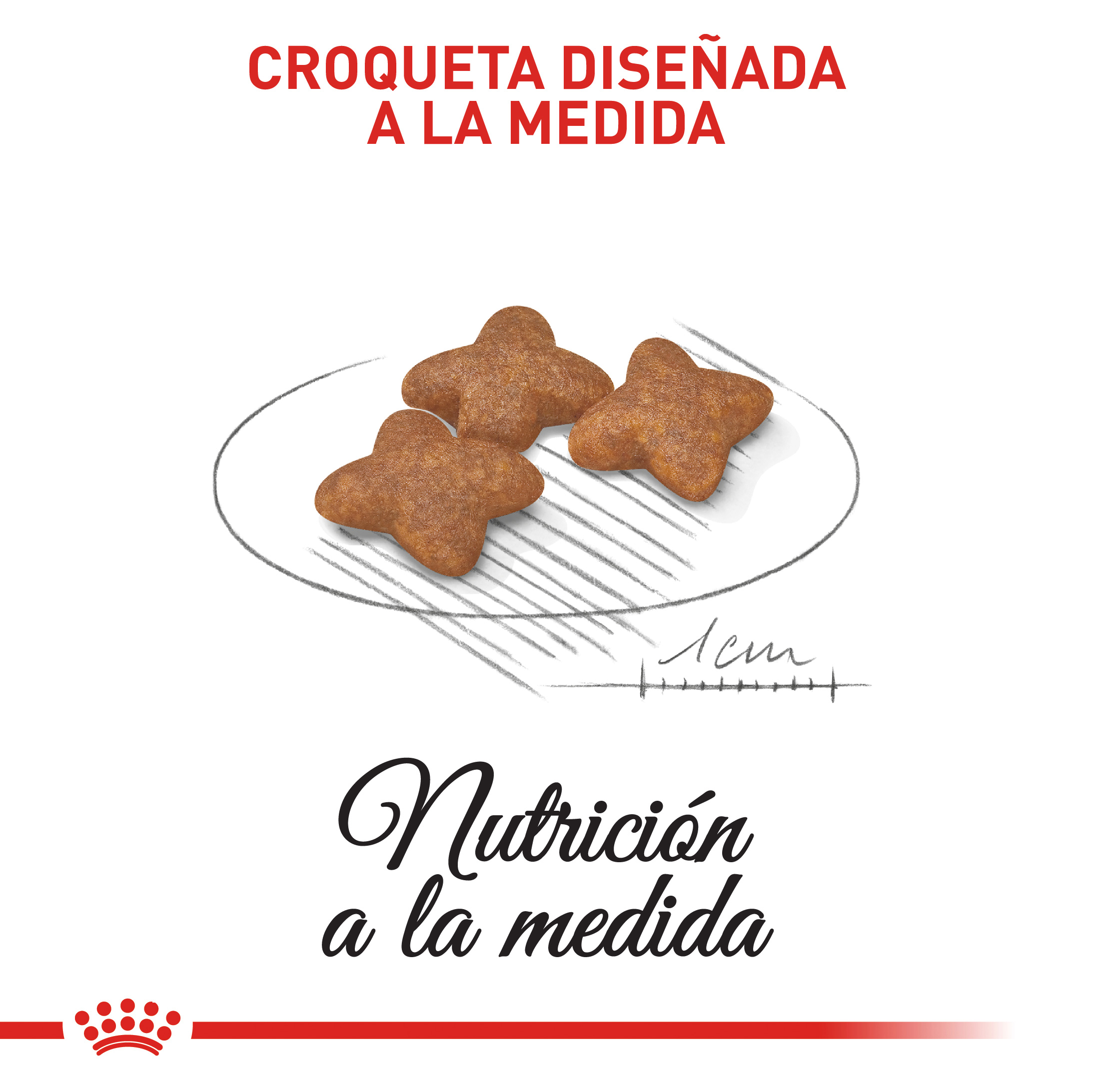 Royal Canin Mini Adult 4 Empaque Royal Canin Mini Adult de 2 kg