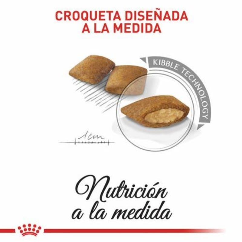 Royal Canin Mini Exigent 4 Empaque Royal Canin Mini Exigent de 1 kg