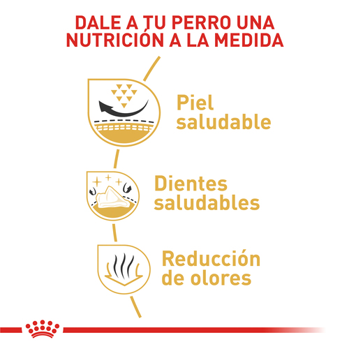 Royal Canin Shih Tzu Adulto 2 Empaque Royal Canin Shih Tzu Adulto de 1.5 kg