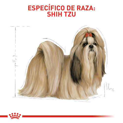Royal Canin Shih Tzu Adulto 4 Empaque Royal Canin Shih Tzu Adulto de 1.5 kg