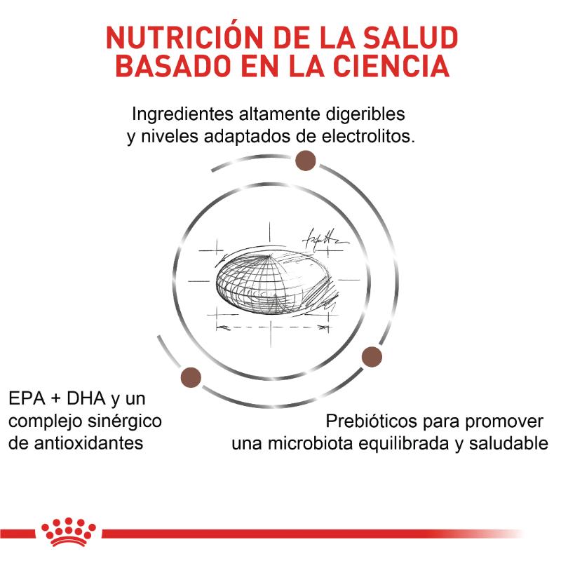 Royal Canin VHN Gastrointestinal Moderate Calorie 4 Empaque Royal Canin VHN Gastrointestinal Moderate Calorie de 2 kg