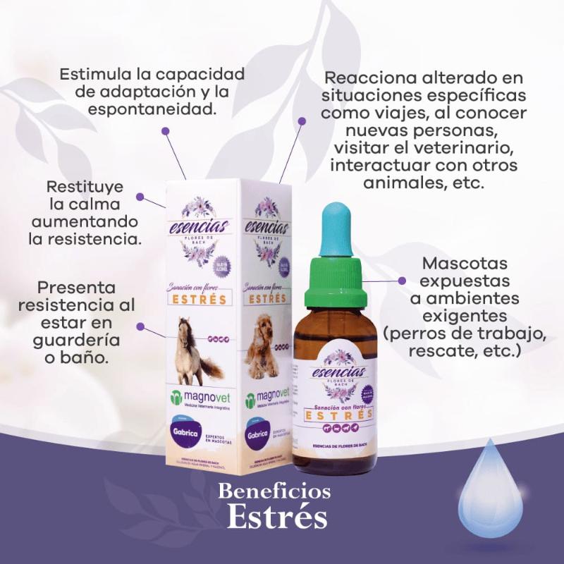Esencias Gabrica Esencia Floral Estrés (Gotero 30 ml) 3 Empaque Esencias Gabrica Esencia Floral Estrés (Gotero 30 ml) de gotero 30 ml mililitro