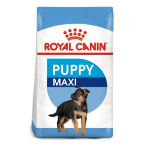 Alimento Royal Canin Maxi Puppy para perros