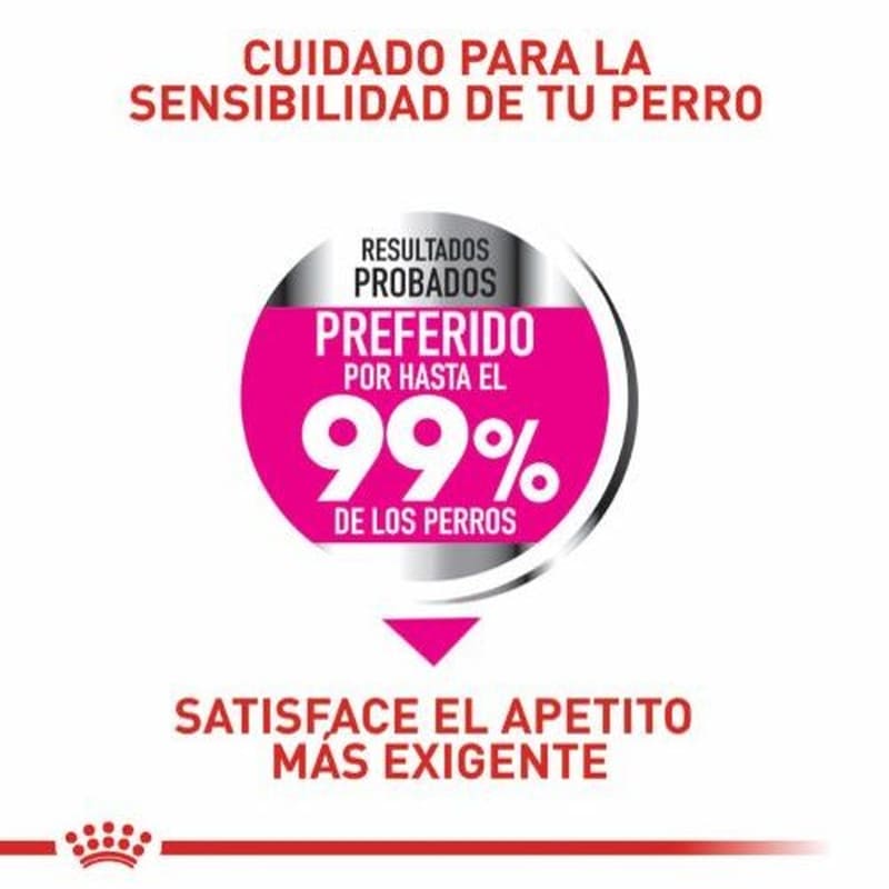Royal Canin Mini Exigent 3 Empaque Royal Canin Mini Exigent de 1 kg