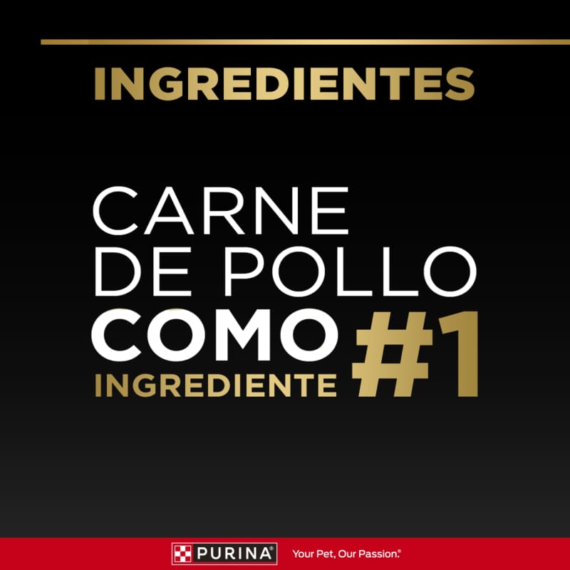 Purina Pro Plan Adulto Exigent Razas Pequeñas con OptiEnrich 3 Empaque Purina Pro Plan Adulto Exigent Razas Pequeñas con OptiEnrich de 1 kg