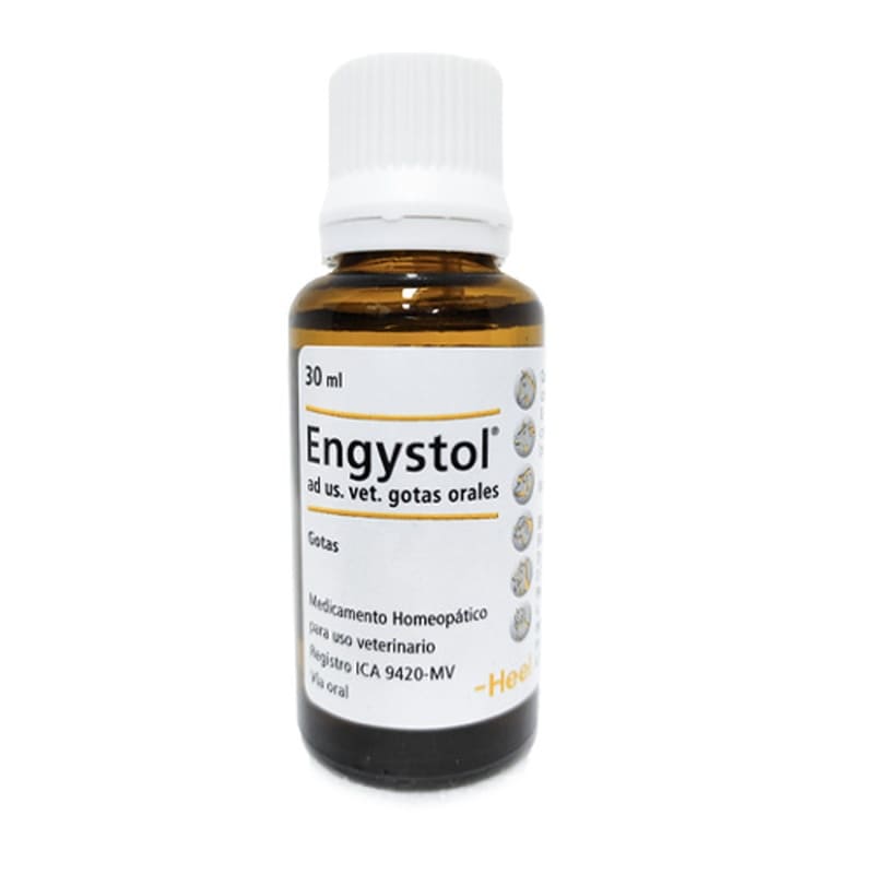 Heel Engystol Gotas Inmunomodulador y Antiviral Homeopático (30 ml) 3 Empaque Heel Engystol Gotas Inmunomodulador y Antiviral Homeopático (30 ml) de 30 mililitro