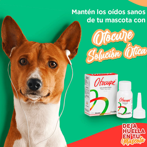 Otocure Gotas Óticas (15 ml) 2 Empaque Otocure Gotas Óticas (15 ml) de 15 mililitro