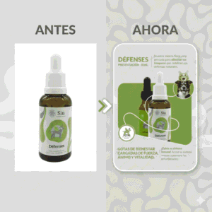 Siu Esencia Floral Defenses Inmunidad (Gotero 20 ml) para perros