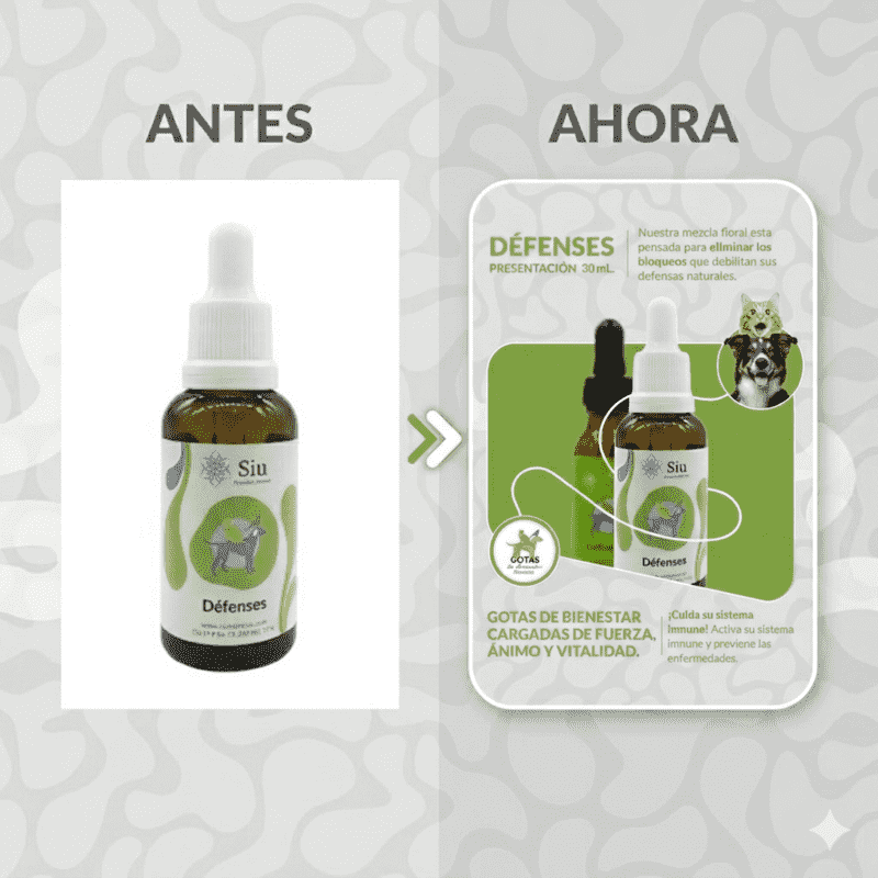 Siu Esencia Floral Defenses Inmunidad (Gotero 20 ml) 1 Siu Esencia Floral Defenses Inmunidad (Gotero 20 ml) para perros