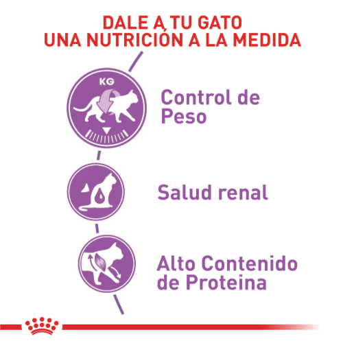 Royal Canin Sterilised FHN 2 Empaque Royal Canin Sterilised FHN de 2 kg