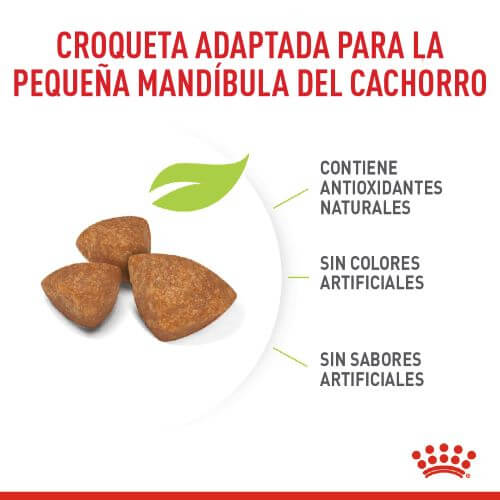 Royal Canin X-Small Puppy 2 Empaque Royal Canin X-Small Puppy de 1.5 kg