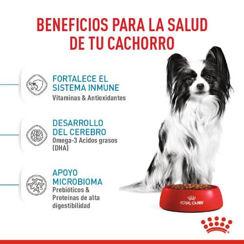 Royal Canin X-Small Puppy 4 Empaque Royal Canin X-Small Puppy de 1.5 kg