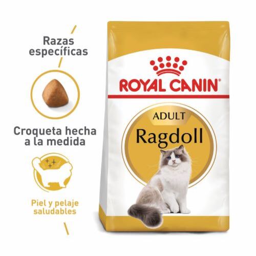 Royal Canin Ragdoll Adult 1 Alimento Royal Canin Ragdoll Adult para perros