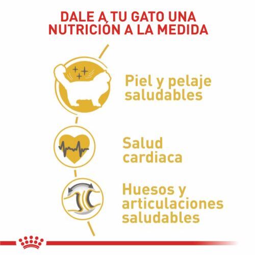 Royal Canin Ragdoll Adult 2 Empaque Royal Canin Ragdoll Adult de 2 kg
